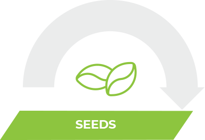 01_diagram_seeds