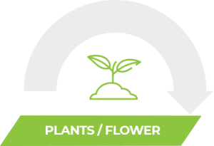 02_diagram_plant