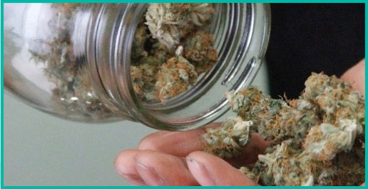 02_grow 02_grow